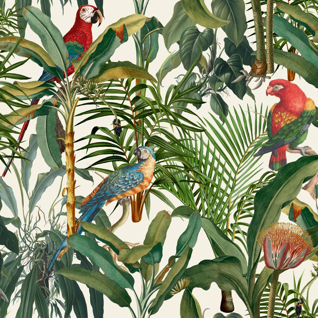 mind-the-gap-parrots-of-brasil-wallpaper-tropical-wanderlust-collection-tropical-paradise-birds-parrots-parakeets-vibrant-colourful-illustrative-maximalist-statement-interiors