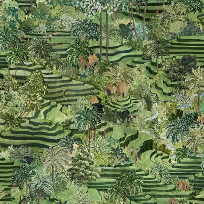 brand-mckenzie-wallpaper-grass-green-rice-terrace