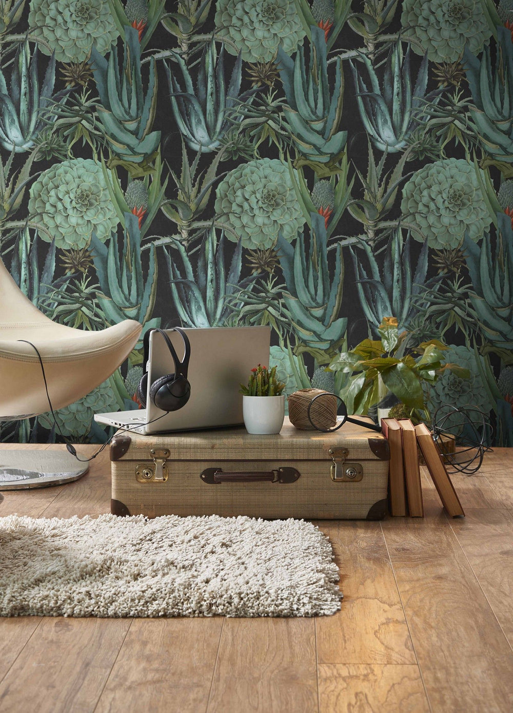 mind-the-gap-succulentus-anthracite-wallpaper-the-rediscovered-paradise-collection-succulents-lounge