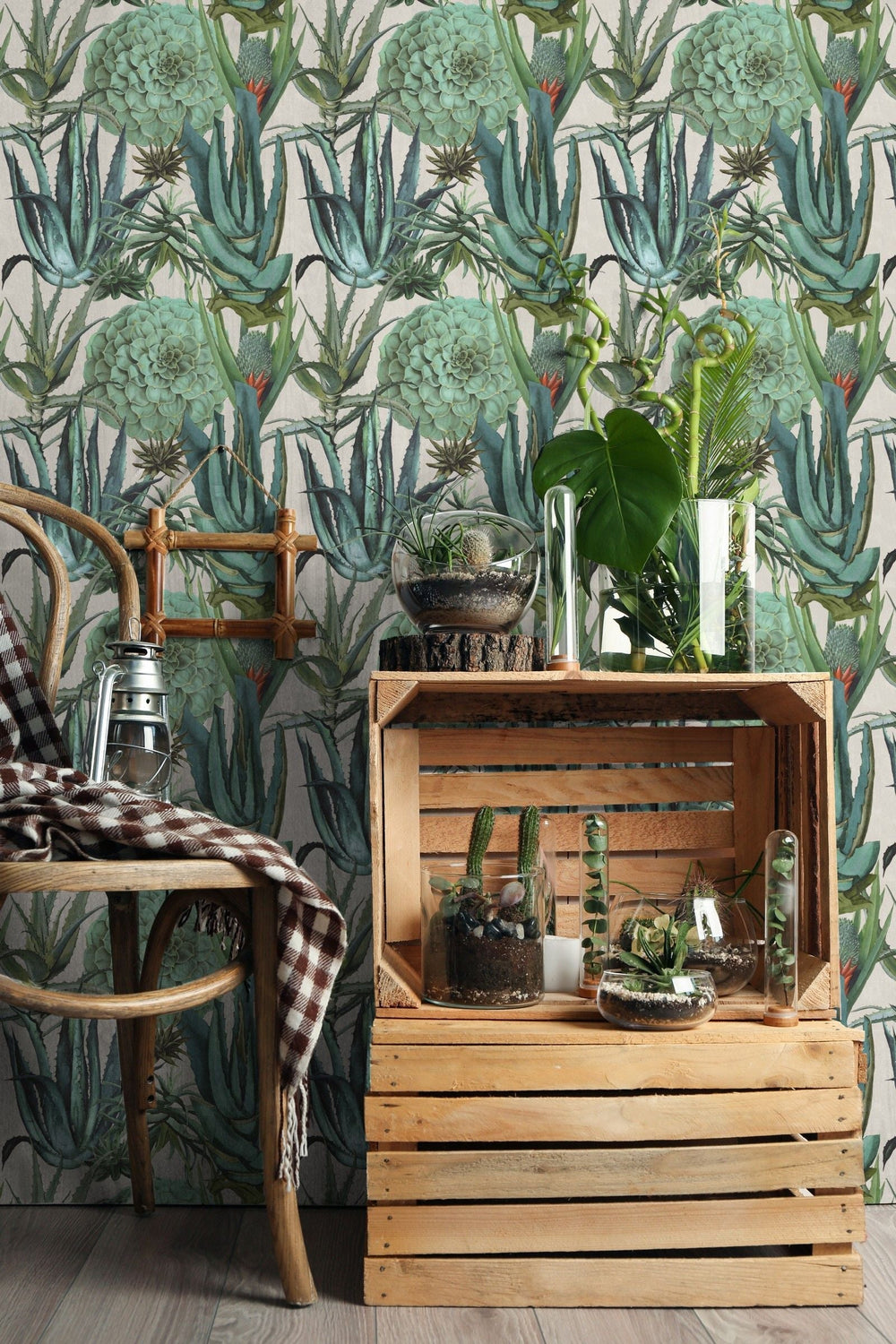mind-the-gap-succulentus-wallpaper-the-rediscovered-paradise-collection-succulents-lounge