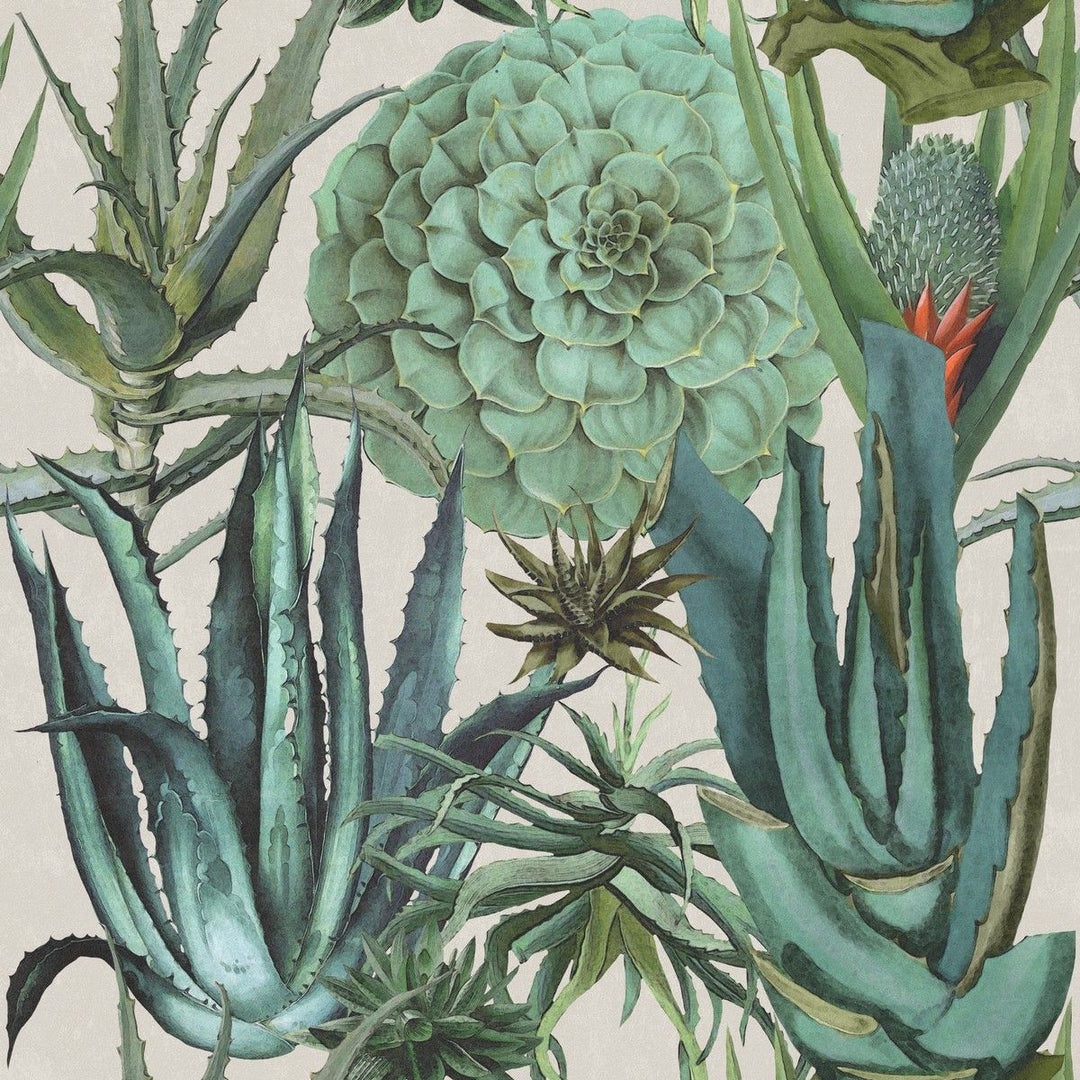 mind-the-gap-succulentus-wallpaper-the-rediscovered-paradise-collection-succulents