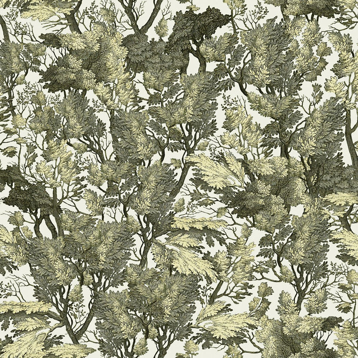 mind-the-gap-tree-foliage-wallpaper-the-royal-garden-collection-leaves-trees-climbing-intricate-hand-drawn