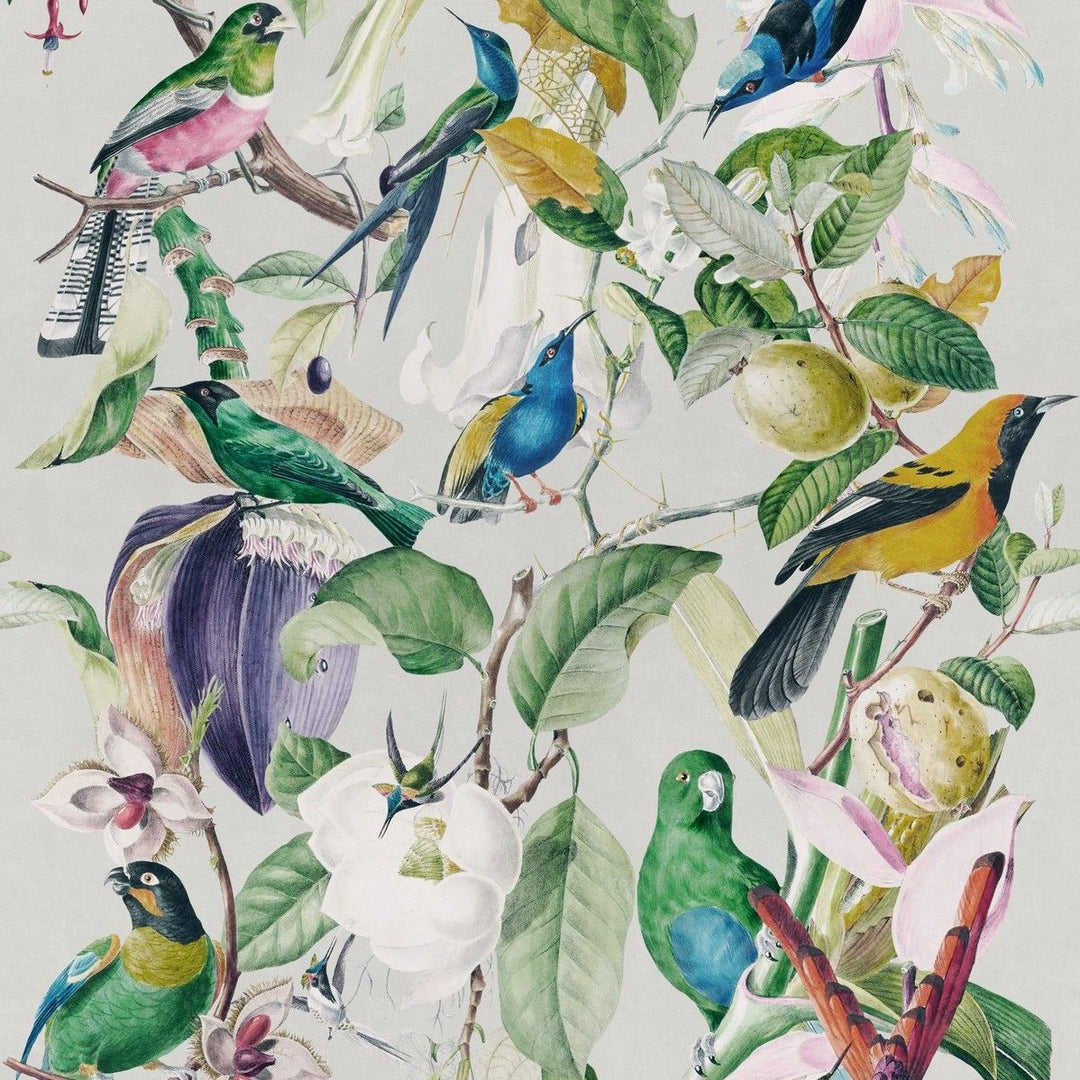 mind-the-gap-tropical-birds-wallpaper-the-rediscovered-paradise-collection-vibrant-colourful-statement-maximalist