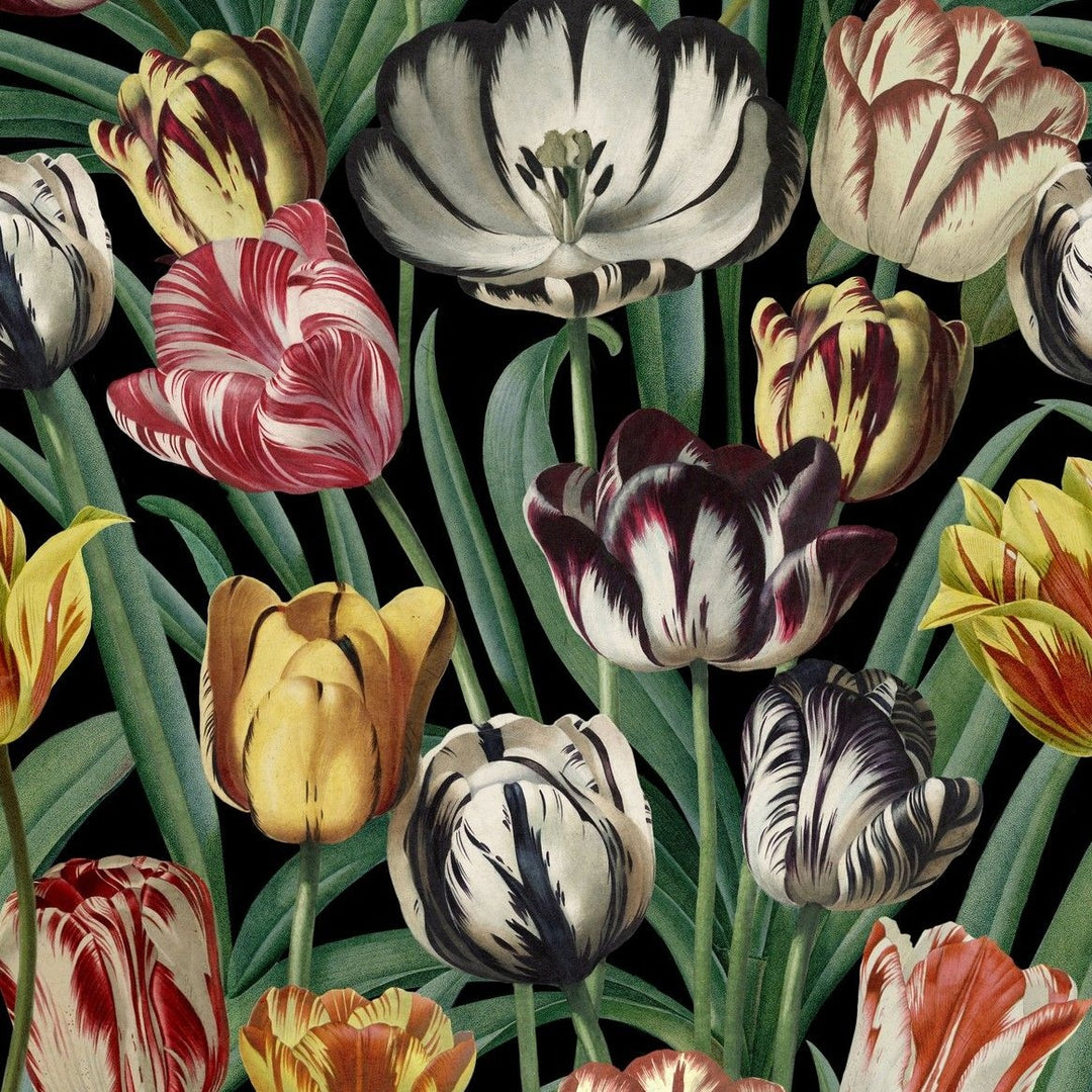 mind-the-gap-tulipa-wallpaper-the-florist-collection-oversized-tulips-vibrant
