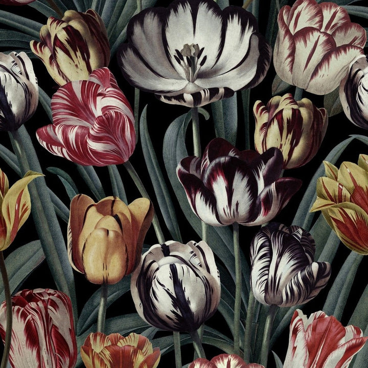 mind-the-gap-tulipa-wallpaper-the-florist-collection-oversized-tulips-vibrant-darker-palette-statement-maximalist