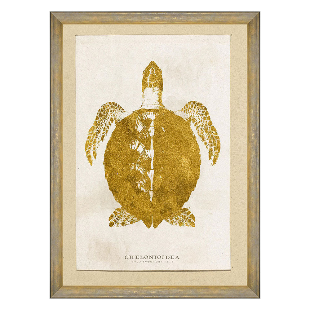 Mind-The-Gap-Chelonioidea-Wall-Art-Framed-Turtle